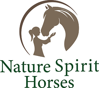 Nature Spirit Horses